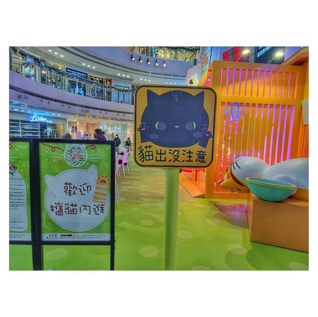 貓出沒注意。希慎廣場