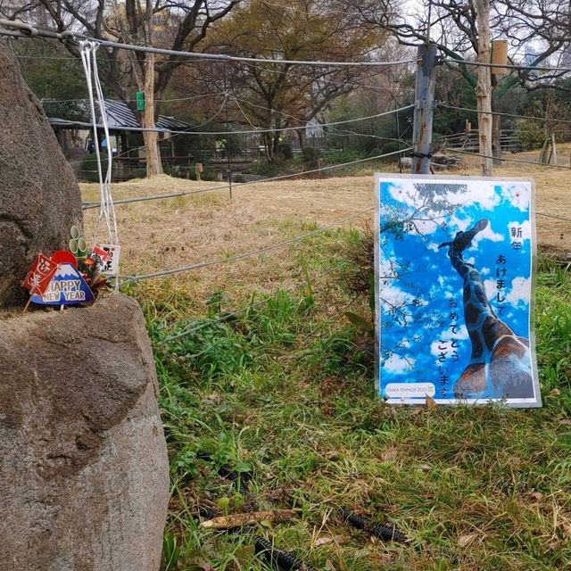 自動販売機にゾウの銅像！岩場にお正月飾り！
