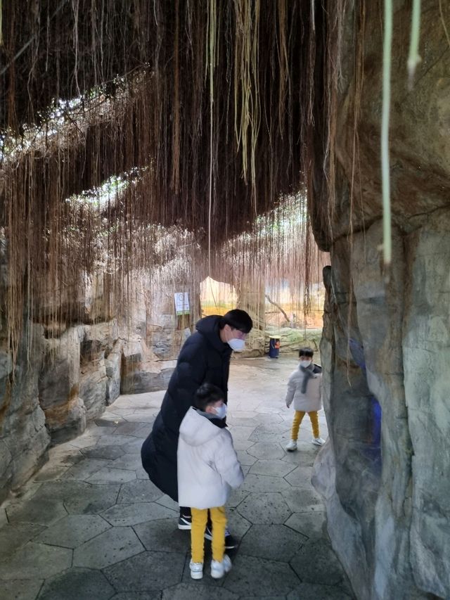 겨울에도 따뜻하게 생태관람을! 국립생태원