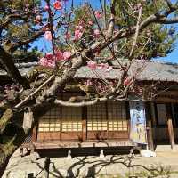 日本傳統陶偶展示【御深井丸展示館】