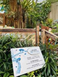 一次過欣賞各色各樣花卉  在市中心盛放📍香港公園