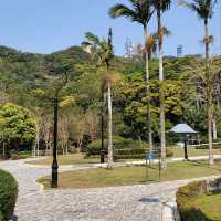 Mount Austin Playground