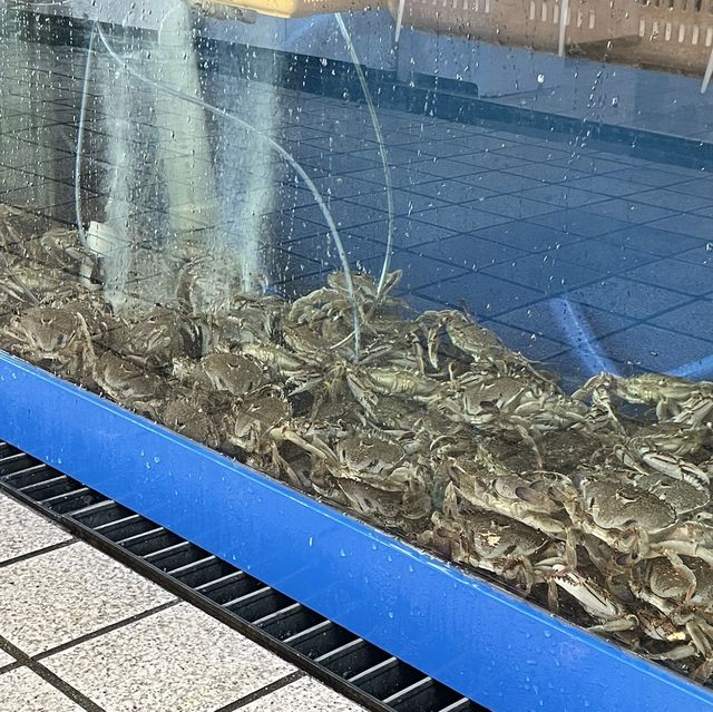 푸짐한 인심, 신선한 횟감 강릉항 회센터 솔향 횟집🐠