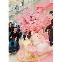 沙田新城市廣場有LuLu豬