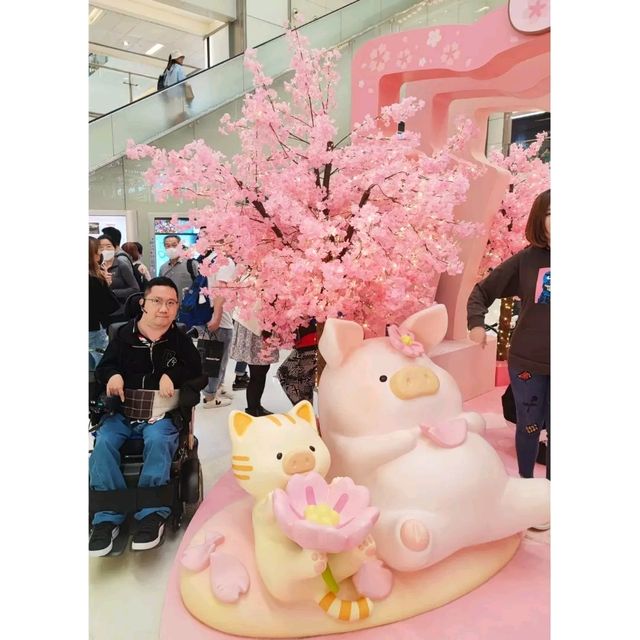 沙田新城市廣場有LuLu豬