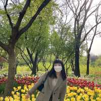 튤립🌷이 한가득 피어있는 “서울숲” 🌳