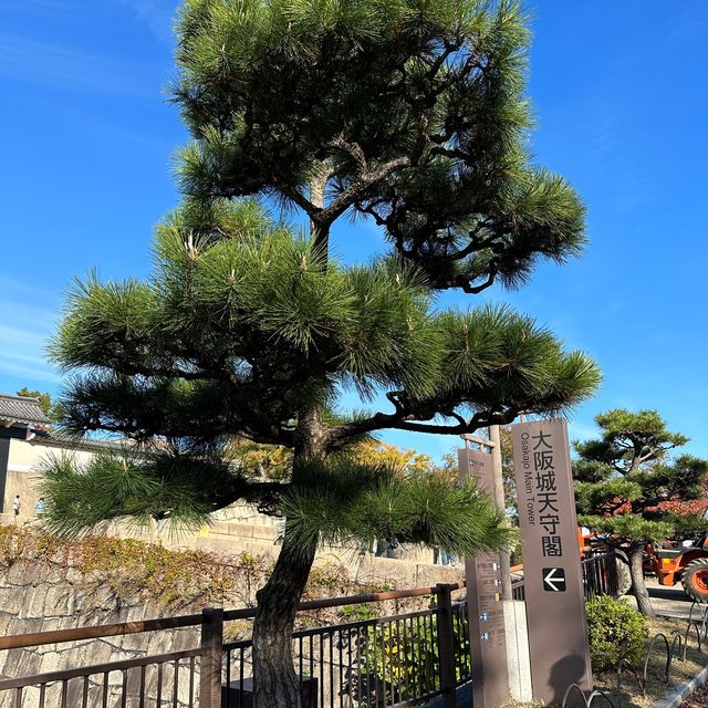 大阪必到景點之一🌟大阪城公園💕