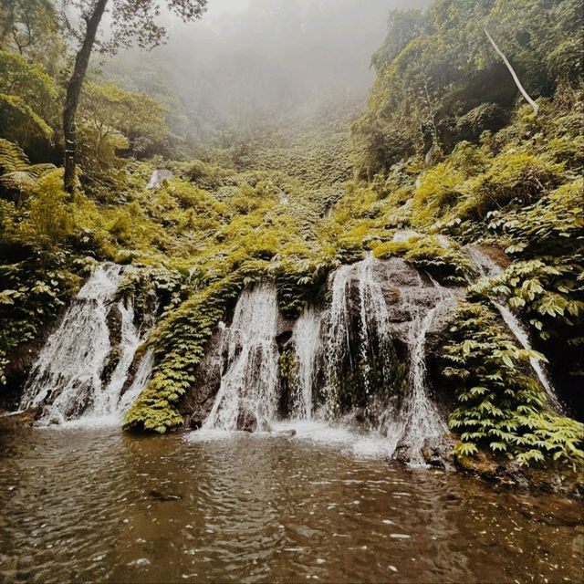 Wanagiri Puncak Manik Waterfall, Bali