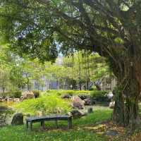 宜蘭大學🌳