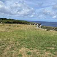 沖縄本島「万座毛」芝生の野原が万座毛、海の景勝地が像の鼻