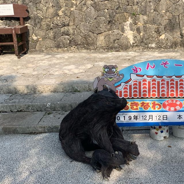 ✨沖繩世界 おきなわワールド✨