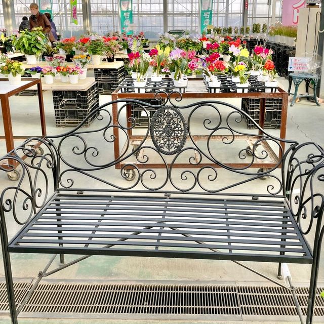 パンジーハウス🌼ひな祭り限定展示