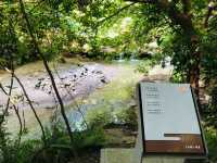 台北｜☀️🌳🍃綠色文學步道📍 Beitou Park 北投公園