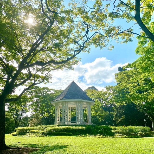 Botanic Garden Is A Real Life Fairytale