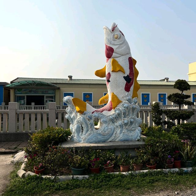 金門-守鱟幸福|金門水產試驗所|（看古化石鱟游來游去）