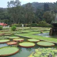 Penang's Botanical Paradise