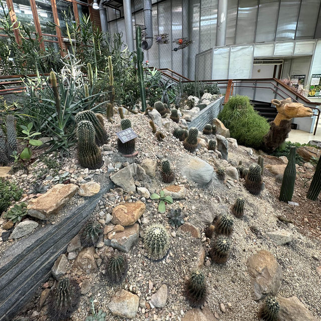 台北圓山站休閑一日遊🌿🌵適合夏日親子遊