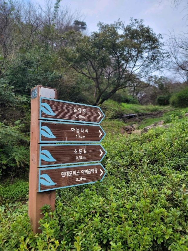 가을산책하기 좋은 진천여행지 추천🍂