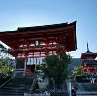 靈秀境界⛩️🌸🕊️清水寺