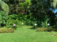 Greenery at Bel Marina Hoi An
