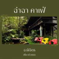 ฉำฉาคาเฟ่ เน้นธรรมชาติสีเขียว