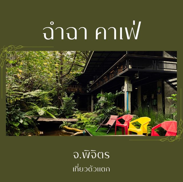 ฉำฉาคาเฟ่ เน้นธรรมชาติสีเขียว