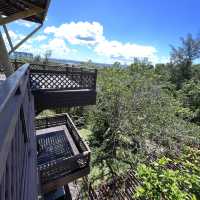 Healing with nature at Miri