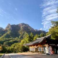 Golden Mountain in South Korea 🇰🇷