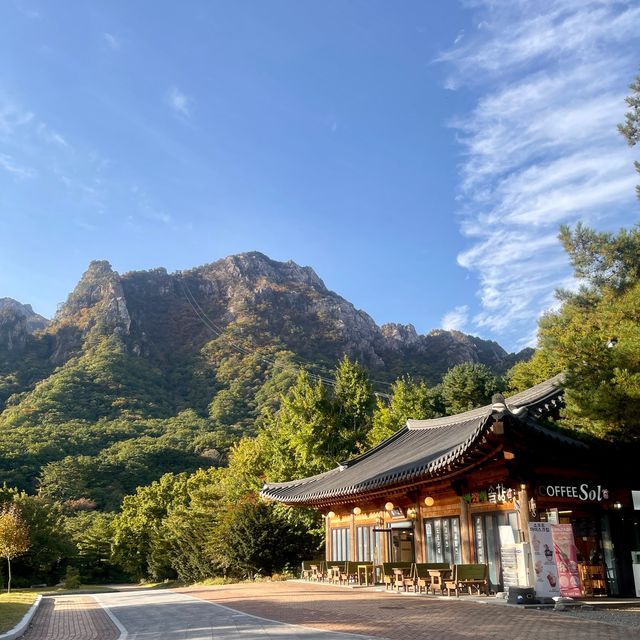 Golden Mountain in South Korea 🇰🇷