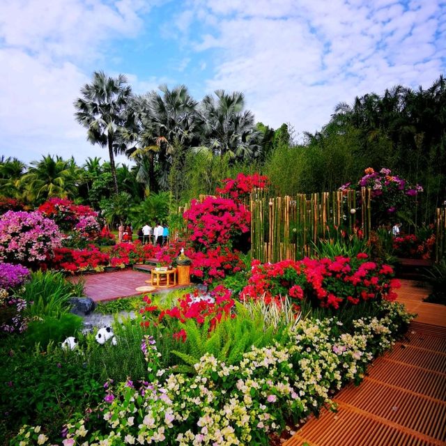 簕杜鵑盛放的蓮花山公園 簕杜鵑盛放的蓮花山公園
