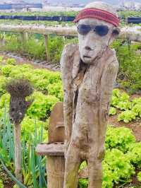 La Trinidad Strawberry Farm