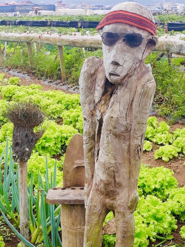 La Trinidad Strawberry Farm