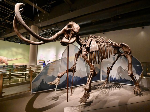 香港科學館古生物展廳「滅絕．新生」展覽展出珍貴動植物化石