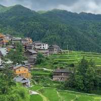 🌾🌄 洋嶺梯田～稻穗風光🏔️🌾🥾