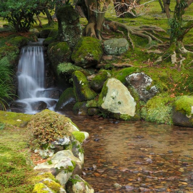 【石川県金沢市】日本庭園🌳日本の文化に触れる
