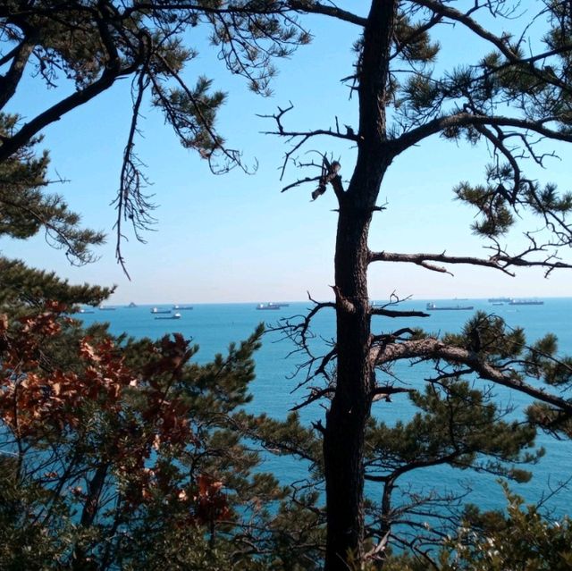 암남공원 산책은 대자연에 품속으로