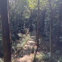 Tsing Yi Peak Hike (Low Difficulty)