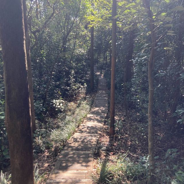 Tsing Yi Peak Hike (Low Difficulty)
