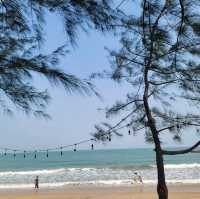 ใครชอบของแซ่บ ต้องที่นี่ ไข่มุกปูเป็น หาดเจ้าสำราญ