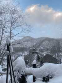 얼굴은 춥고 몸은 따뜻한 히노끼 전세탕에서 온천하기❄️♨️