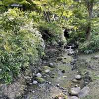 【神奈川県】横浜市　三溪園