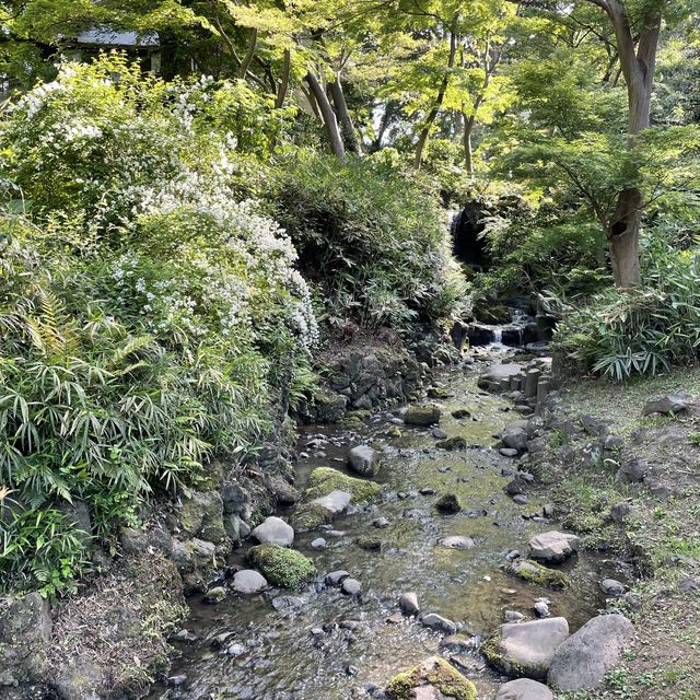 【神奈川県】横浜市　三溪園