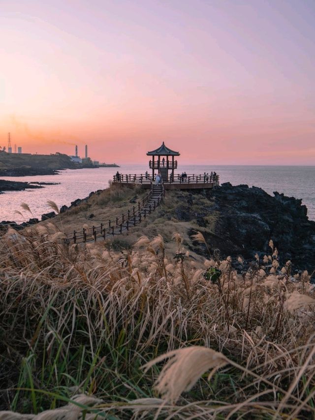 억새풀과 제주바다를 한눈에 볼 수 있는 이곳"닭머르해안길"