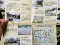 香港獨有的九龍寨城公園