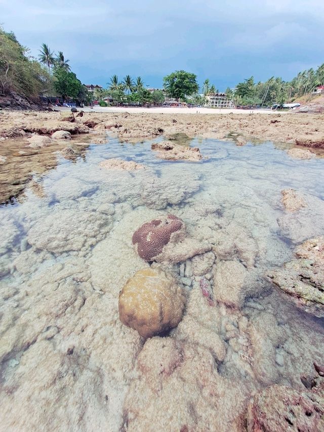 หาดเมอร์ลิน หาดลับที่ไม่ลับ แต่ส่วนตัวมากๆ