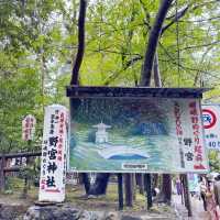 細雨🌦️慢步嵯峨野🎋竹林步道🚶‍♂️