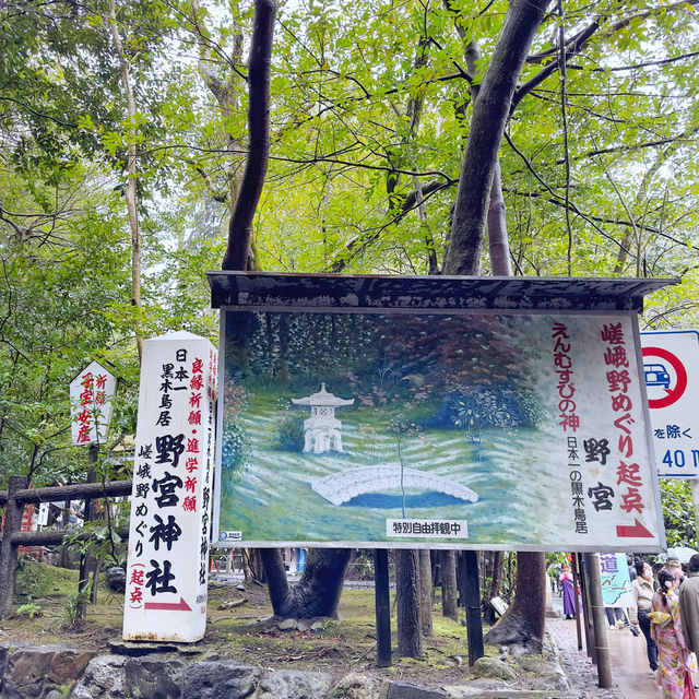 細雨🌦️慢步嵯峨野🎋竹林步道🚶‍♂️