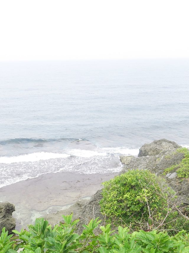 小琉球隱藏的原始森林🌳《山豬溝》