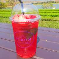 👏คาเฟ่ เขาใหญ่ฟิลดีจนขนลุก