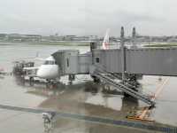 福岡空港→高知(龍馬)空港へ。JAL『エンブラエル』で高知へ飛ぶ。